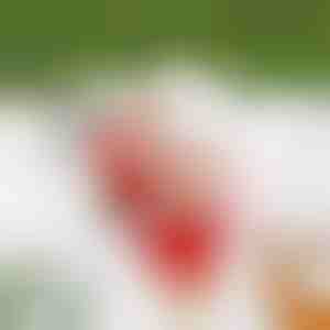 Santa lezoucí po řetezi | SANTACLIMB