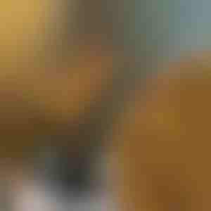 Dekorativní světla ve tvaru větve | BRANCHLUMOS