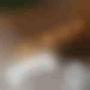 20x samolepicí klipy pro montáž světel | CORDCLIP