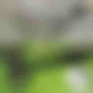 Nástroj na odstraňování plevele ve stoje | RUNCO