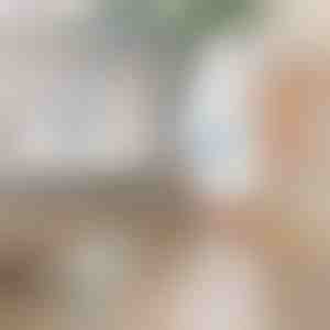 Elektrický rotační čisticí kartáč | ROTOBRUSH