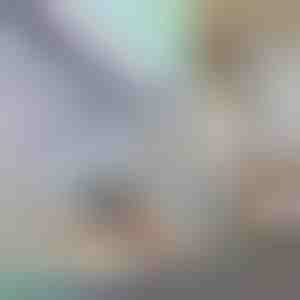 Dekorativní a ochranná okenní fólie pro zajištění soukromí | PRISMWRAP