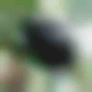 Propagační box pro zdravé kořeny (5 kusů) | ROOTY