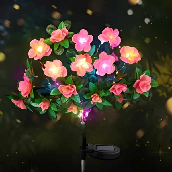 ROSILUME10300  + E-kniha