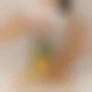 Kráječ ananasů, který pracuje bez námahu | PINECUT