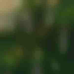 Bezplamenné blikající svíčky (6 ks) | CANDLEA