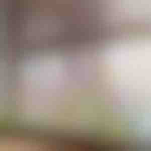 Zářivá květinová samolepka na okno | FLORASTIK