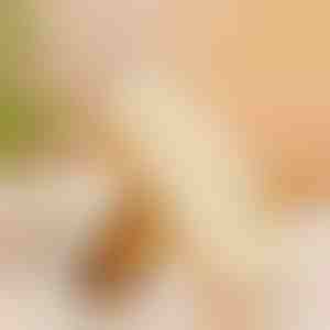 Gumový kartáč na boty | RUBSHOE